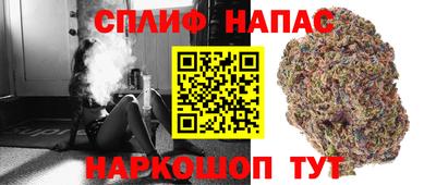 ПСИЛОЦИБИНОВЫЕ ГРИБЫ Ачхой-Мартан