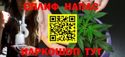 индика Аша