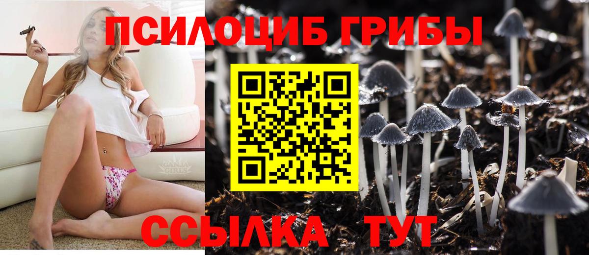 Галлюциногенные грибы мухоморы  Вход с VPN  Карталы 